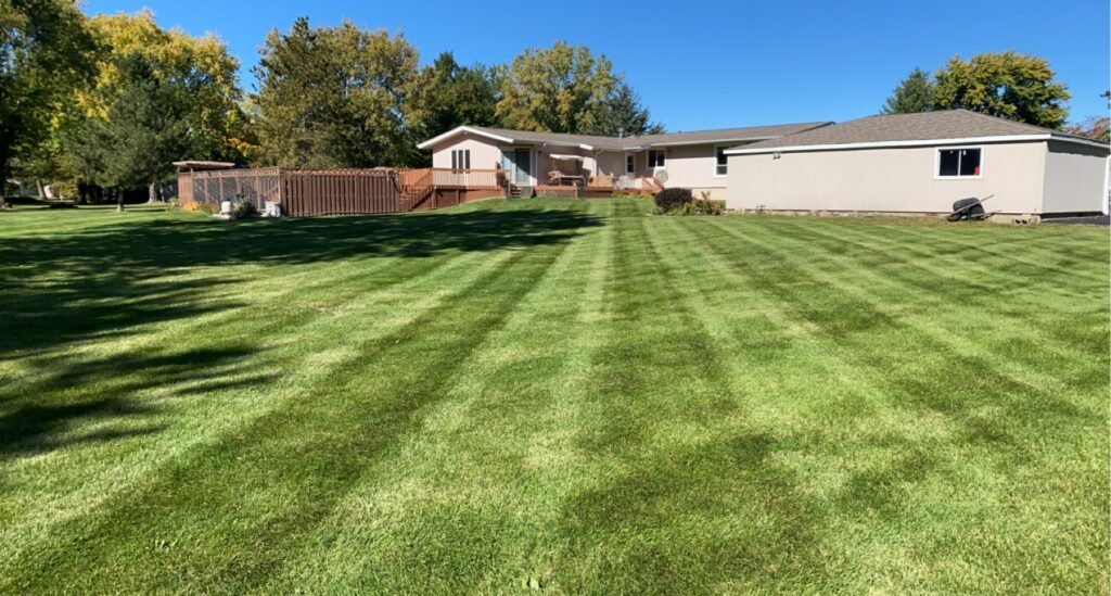Lawn Mainteance